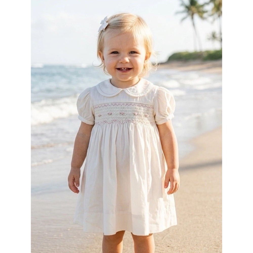 New 3m Petit Ami Smocked 3 Months Hand Embroidered Baby Girl Dress Soft Pink